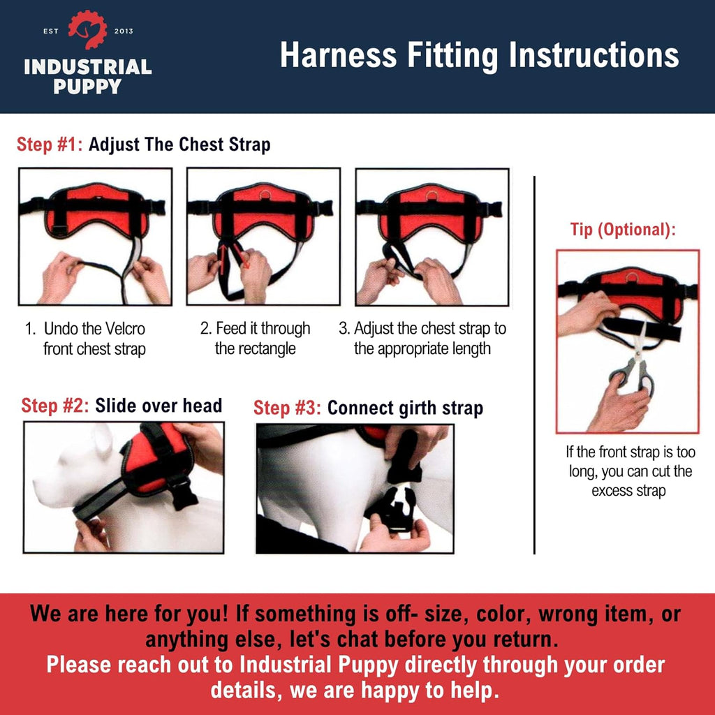 SassyHarness - No-Pull Comfort Training Vest