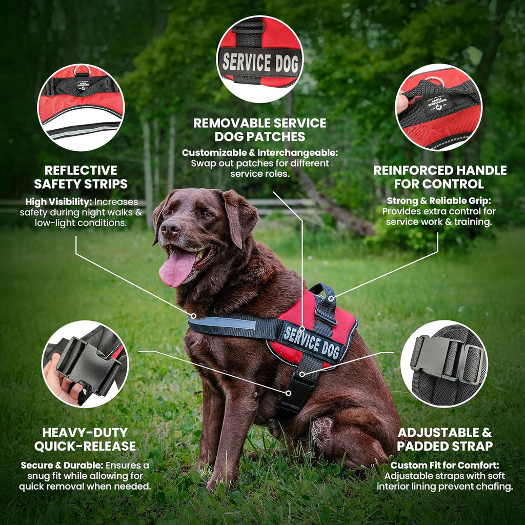 SassyHarness - No-Pull Comfort Training Vest