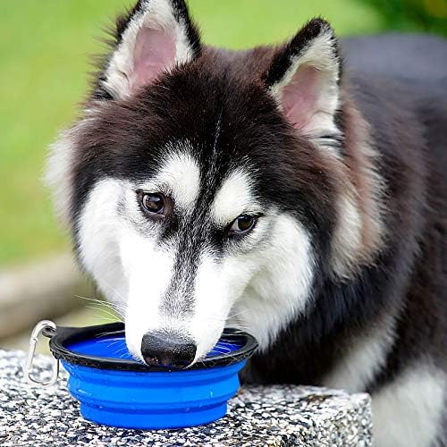 TravelPaw - Foldable Travel Bowls (2-Pack)