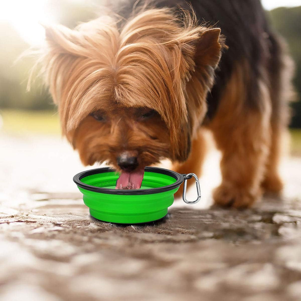 TravelPaw - Foldable Travel Bowls (2-Pack)