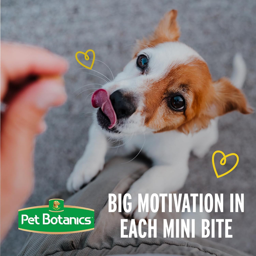 SassyBites - Premium Soft Training Rewards