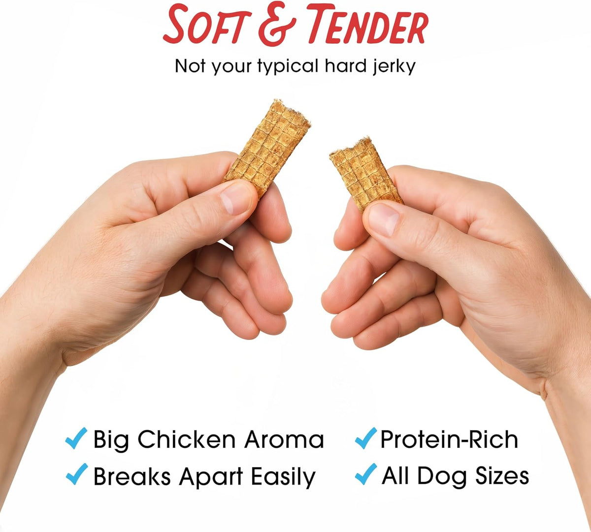 SassyBites - Premium Natural Chicken Jerky