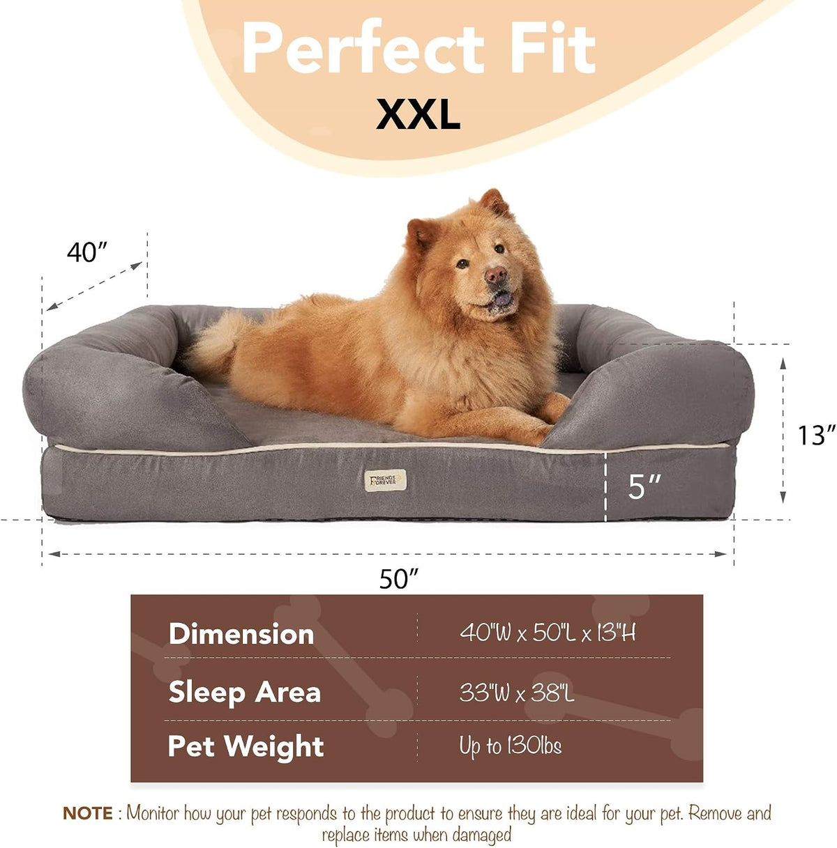 Orthopedic Cloud Couch (Plush Edition)