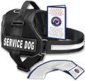 SassyHarness - No-Pull Comfort Training Vest